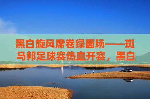 黑白旋风席卷绿茵场——斑马邦足球赛热血开赛，黑白旋风席卷绿茵场——斑马邦足球赛热血开赛
