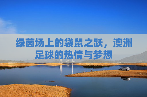 绿茵场上的袋鼠之跃，澳洲足球的热情与梦想