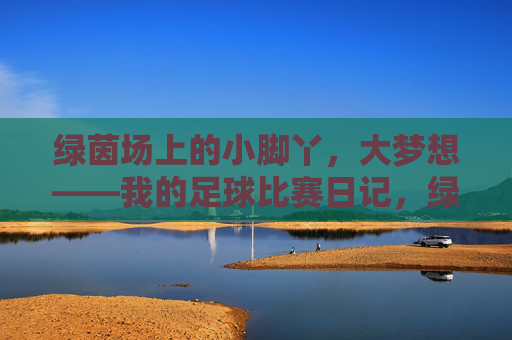 绿茵场上的小脚丫，大梦想——我的足球比赛日记，绿茵场小脚丫，足球大梦想日记