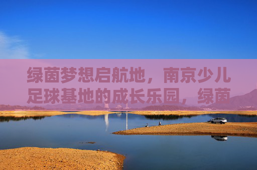 绿茵梦想启航地，南京少儿足球基地的成长乐园，绿茵梦想启航，南京少儿足球成长乐园
