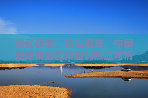 绿茵梦想，指尖绽放，中国足球粉丝壁纸里的热血与情怀，绿茵梦想，指尖热血，中国足球粉丝壁纸情怀