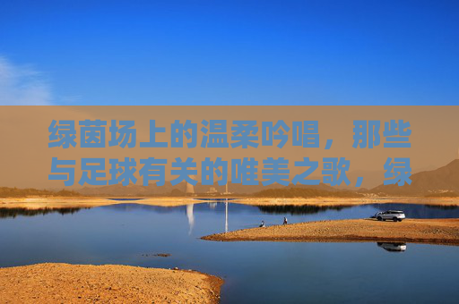 绿茵场上的温柔吟唱，那些与足球有关的唯美之歌，绿茵场的温柔吟唱，足球唯美之歌