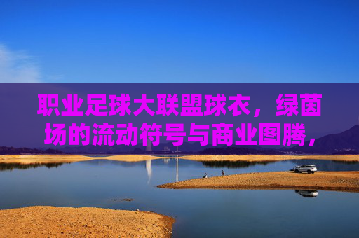 职业足球大联盟球衣，绿茵场的流动符号与商业图腾，职业足球大联盟球衣，绿茵场流动符号与商业图腾