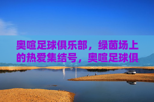 奥喧足球俱乐部，绿茵场上的热爱集结号，奥喧足球俱乐部，绿茵场上的热爱集结号