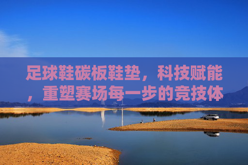 足球鞋碳板鞋垫，科技赋能，重塑赛场每一步的竞技体验，科技碳板鞋垫，重塑赛场每一步竞技体验