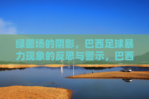 绿茵场的阴影，巴西足球暴力现象的反思与警示，巴西足球暴力，绿茵场的阴影与警示