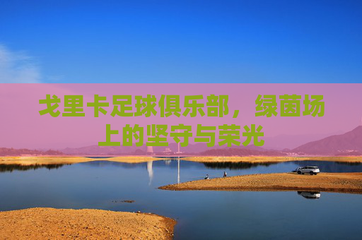 戈里卡足球俱乐部，绿茵场上的坚守与荣光