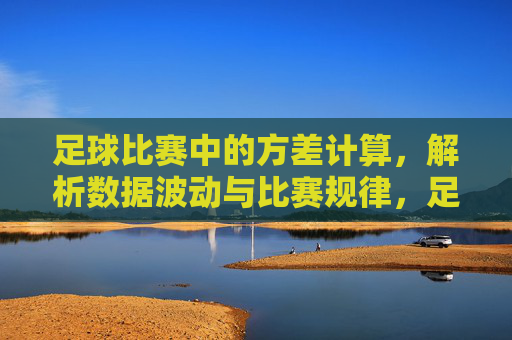 足球比赛中的方差计算，解析数据波动与比赛规律，足球比赛方差计算，数据波动与比赛规律解析