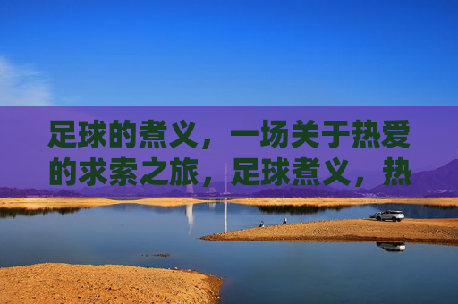 足球的煮义，一场关于热爱的求索之旅，足球煮义，热爱求索之旅