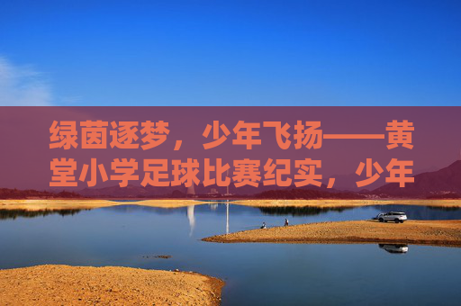 绿茵逐梦，少年飞扬——黄堂小学足球比赛纪实，少年飞扬绿茵梦——黄堂小学足球比赛纪实
