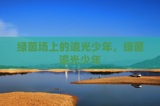 绿茵场上的追光少年，绿茵追光少年