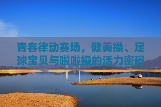 青春律动赛场，健美操、足球宝贝与啦啦操的活力密码，健美操、足球宝贝与啦啦操，青春赛场的活力密码