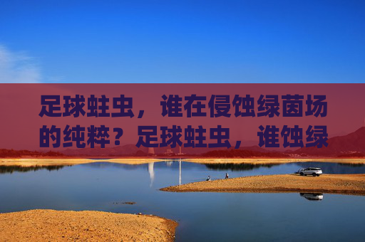 足球蛀虫，谁在侵蚀绿茵场的纯粹？足球蛀虫，谁蚀绿茵纯粹？