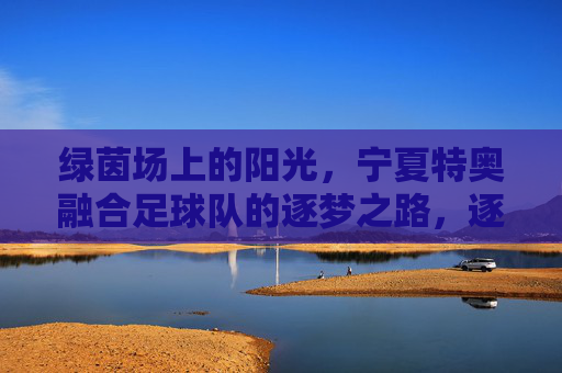 绿茵场上的阳光，宁夏特奥融合足球队的逐梦之路，逐梦绿茵，阳光照亮宁夏特奥融合之路