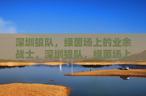 深圳狼队，绿茵场上的业余战士，深圳狼队，绿茵场上的业余战士