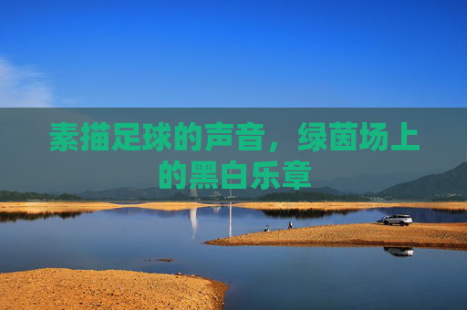 素描足球的声音，绿茵场上的黑白乐章