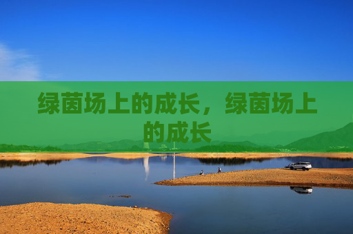 绿茵场上的成长，绿茵场上的成长