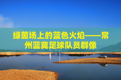 绿茵场上的蓝色火焰——常州蓝冀足球队员群像