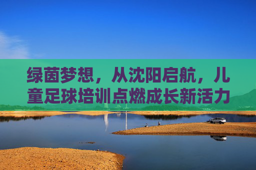 绿茵梦想，从沈阳启航，儿童足球培训点燃成长新活力，绿茵梦想从沈阳启航，儿童足球点燃成长新活力
