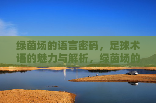 绿茵场的语言密码，足球术语的魅力与解析，绿茵场的语言密码，足球术语的魅力解析