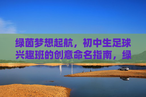 绿茵梦想起航，初中生足球兴趣班的创意命名指南，绿茵梦想起航，初中生足球兴趣班创意命名指南