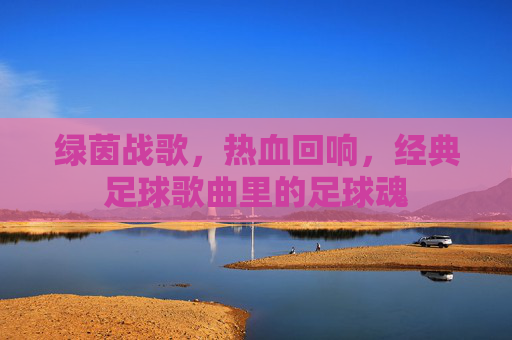 绿茵战歌，热血回响，经典足球歌曲里的足球魂