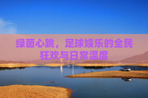 绿茵心跳，足球娱乐的全民狂欢与日常温度