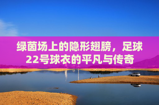 绿茵场上的隐形翅膀，足球22号球衣的平凡与传奇