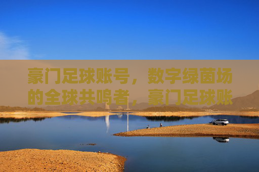 豪门足球账号，数字绿茵场的全球共鸣者，豪门足球账号，数字绿茵场的全球共鸣者