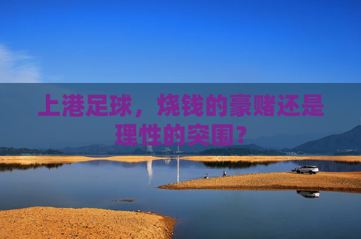 上港足球，烧钱的豪赌还是理性的突围？
