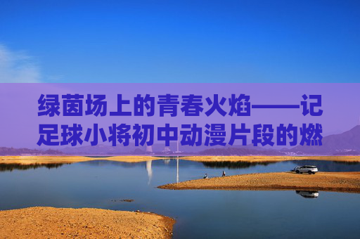 绿茵场上的青春火焰——记足球小将初中动漫片段的燃情瞬间