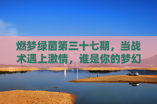燃梦绿茵第三十七期，当战术遇上激情，谁是你的梦幻MVP？