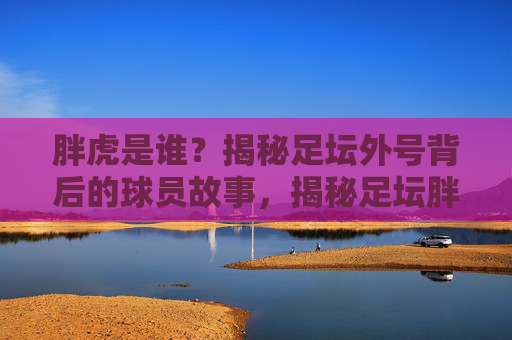 胖虎是谁？揭秘足坛外号背后的球员故事，揭秘足坛胖虎，外号背后的球员故事