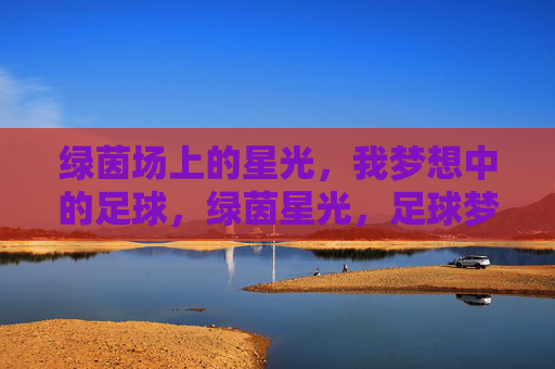绿茵场上的星光，我梦想中的足球，绿茵星光，足球梦想