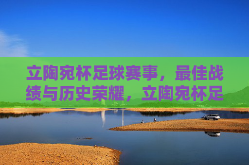 立陶宛杯足球赛事，最佳战绩与历史荣耀，立陶宛杯足球赛事，最佳战绩与历史荣耀