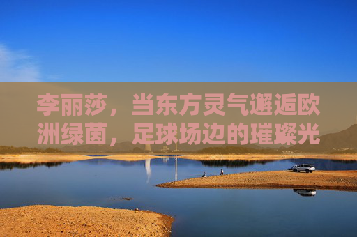 李丽莎，当东方灵气邂逅欧洲绿茵，足球场边的璀璨光芒，李丽莎，东方灵气邂逅欧洲绿茵，足球场边璀璨光芒