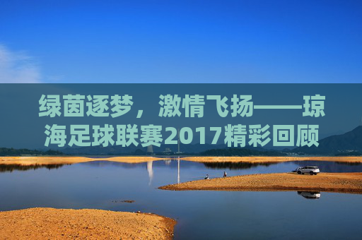 绿茵逐梦，激情飞扬——琼海足球联赛2017精彩回顾，绿茵逐梦，激情飞扬——2017琼海足球联赛回顾