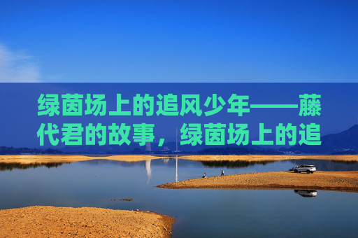 绿茵场上的追风少年——藤代君的故事，绿茵场上的追风少年——藤代君的故事