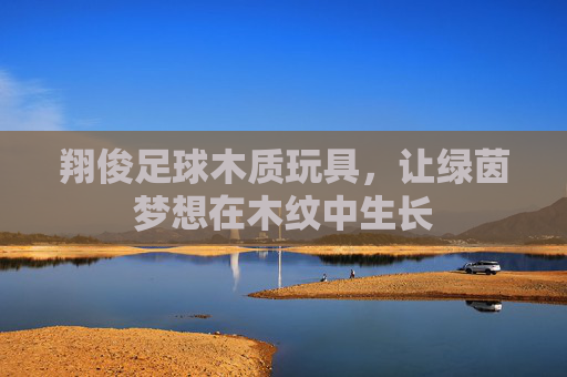 翔俊足球木质玩具，让绿茵梦想在木纹中生长