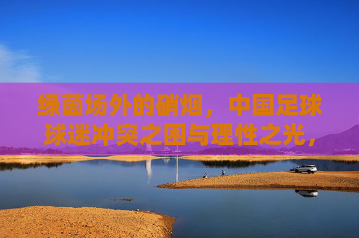 绿茵场外的硝烟，中国足球球迷冲突之困与理性之光，绿茵场外的硝烟，中国足球球迷冲突之困与理性之光