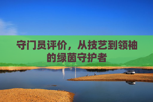 守门员评价，从技艺到领袖的绿茵守护者