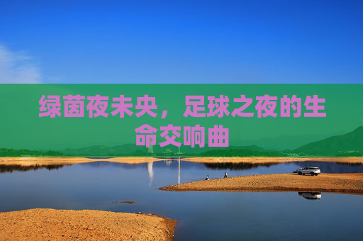 绿茵夜未央，足球之夜的生命交响曲