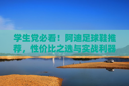 学生党必看！阿迪足球鞋推荐，性价比之选与实战利器，学生党阿迪足球鞋推荐，性价比实战之选