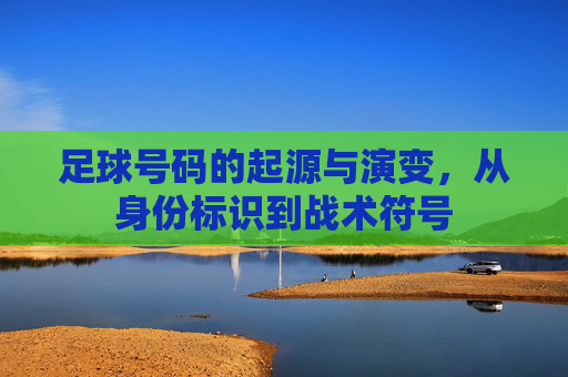 足球号码的起源与演变，从身份标识到战术符号
