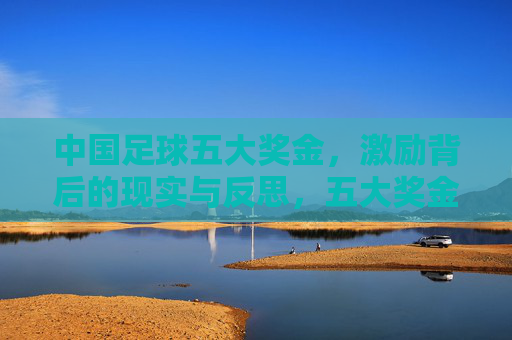 中国足球五大奖金，激励背后的现实与反思，五大奖金与中国足球，激励背后的现实与反思