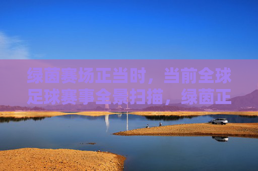 绿茵赛场正当时，当前全球足球赛事全景扫描，绿茵正当时，全球足球赛事全景扫描