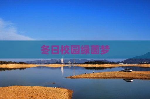 冬日校园绿茵梦