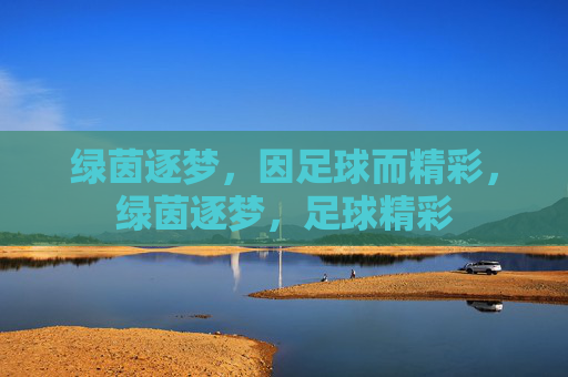 绿茵逐梦，因足球而精彩，绿茵逐梦，足球精彩