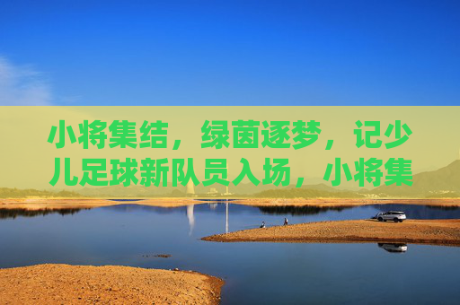 小将集结，绿茵逐梦，记少儿足球新队员入场，小将集结绿茵逐梦，少儿足球新队员入场