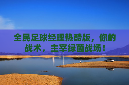 全民足球经理热酷版，你的战术，主宰绿茵战场！